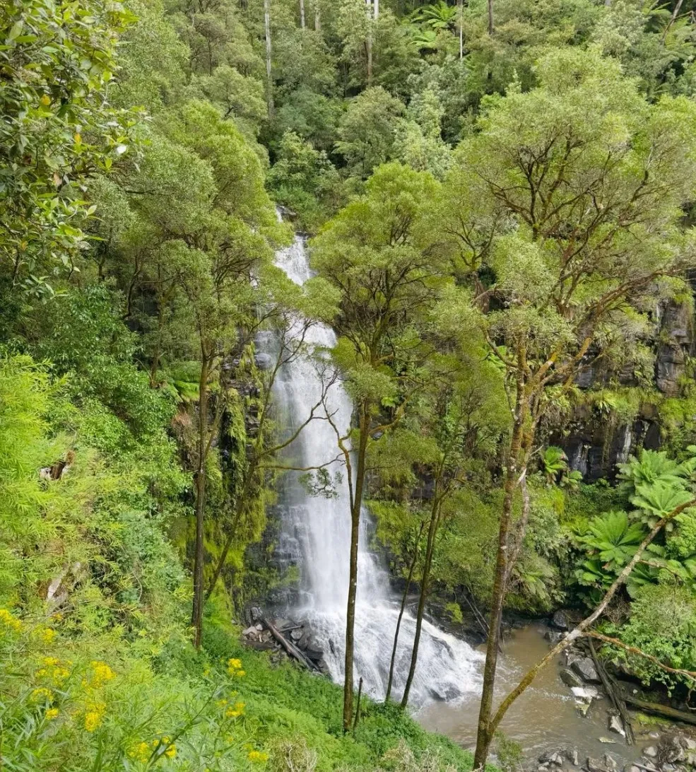 Erskine Falls