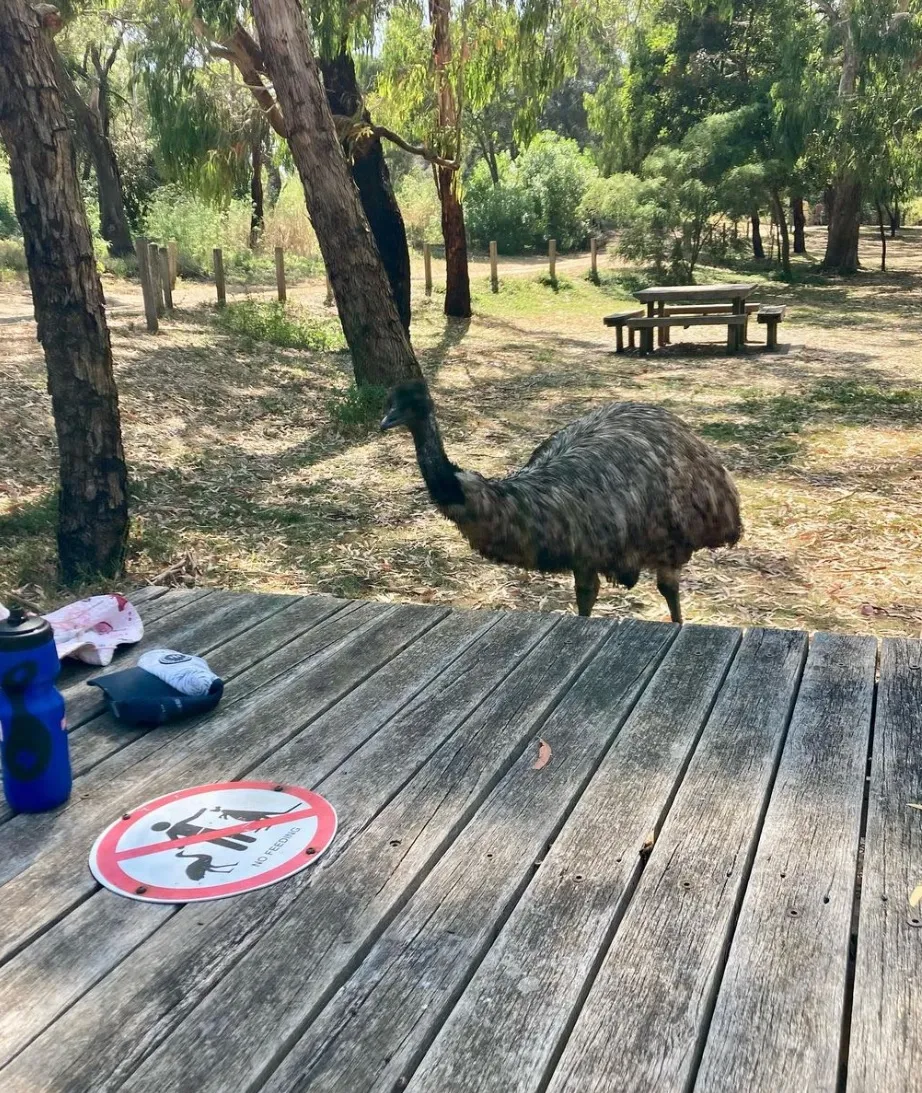 Tower Hill Wildlife Reserve