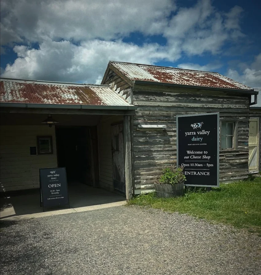 Tours Over Yarra Valley